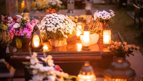 Czym różnią się wkłady olejowe od parafinowych? Odpowiadamy